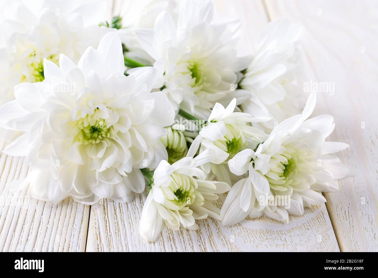 Bouquet di fiori artificiali di camomilla 30 teste per decorazione casa