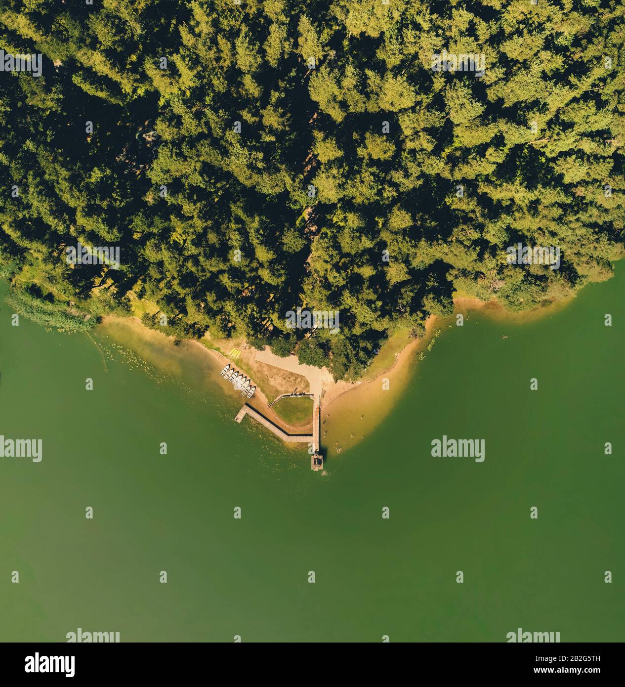 Una vista drone della foresta lituana in Foto Stock