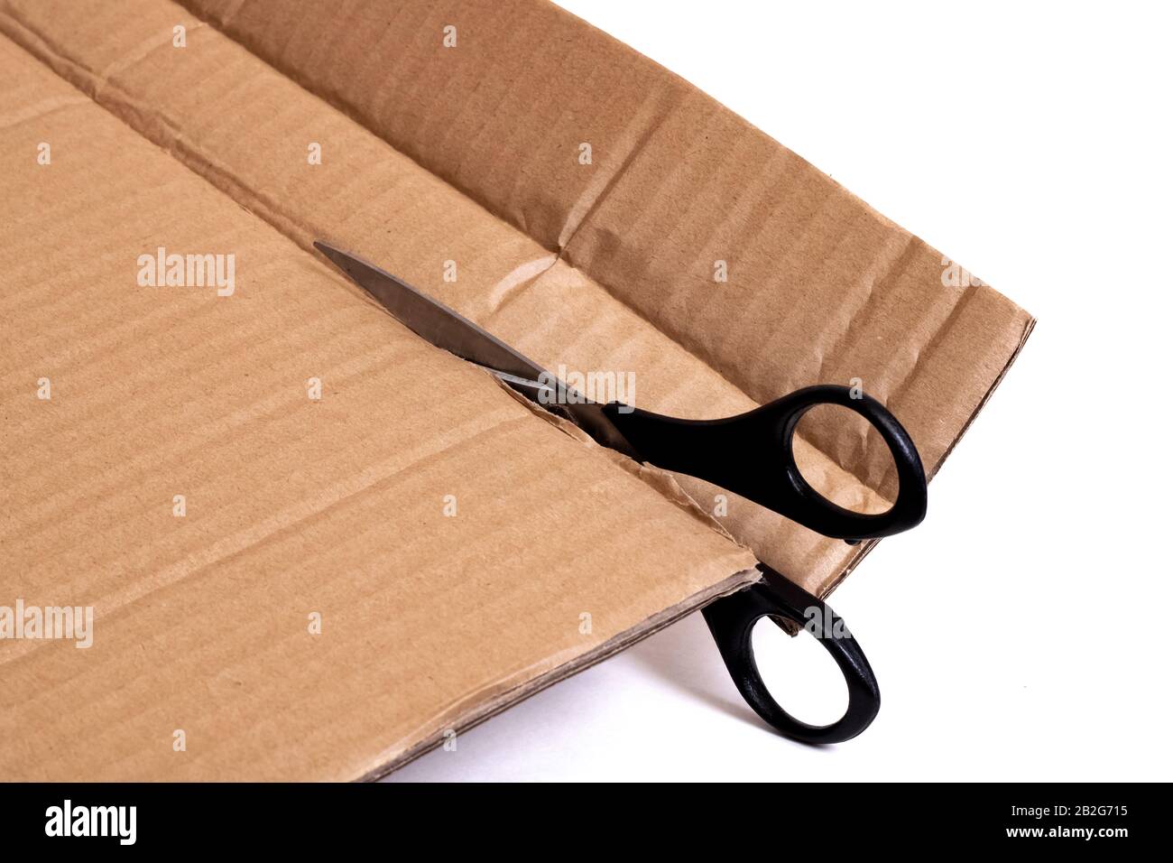 Tagliare il cartone con le forbici isolate su sfondo bianco Foto stock -  Alamy