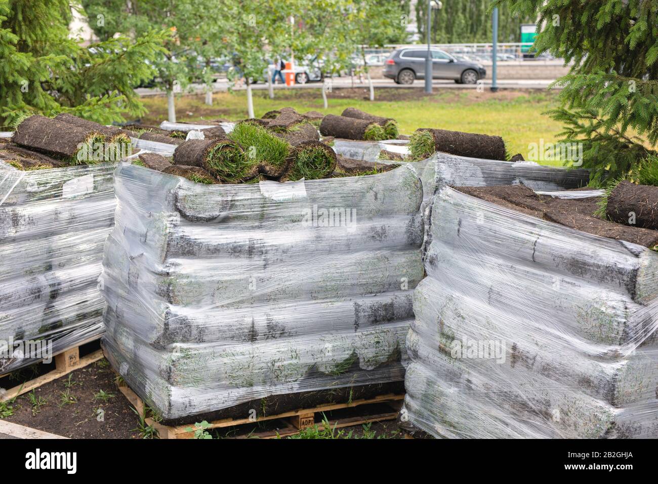 Pile di sod i rotoli per il nuovo prato per paesaggistica. Erba di prato in rotoli su pallet nei confronti della strada. laminati prato è pronto per la posa Foto Stock