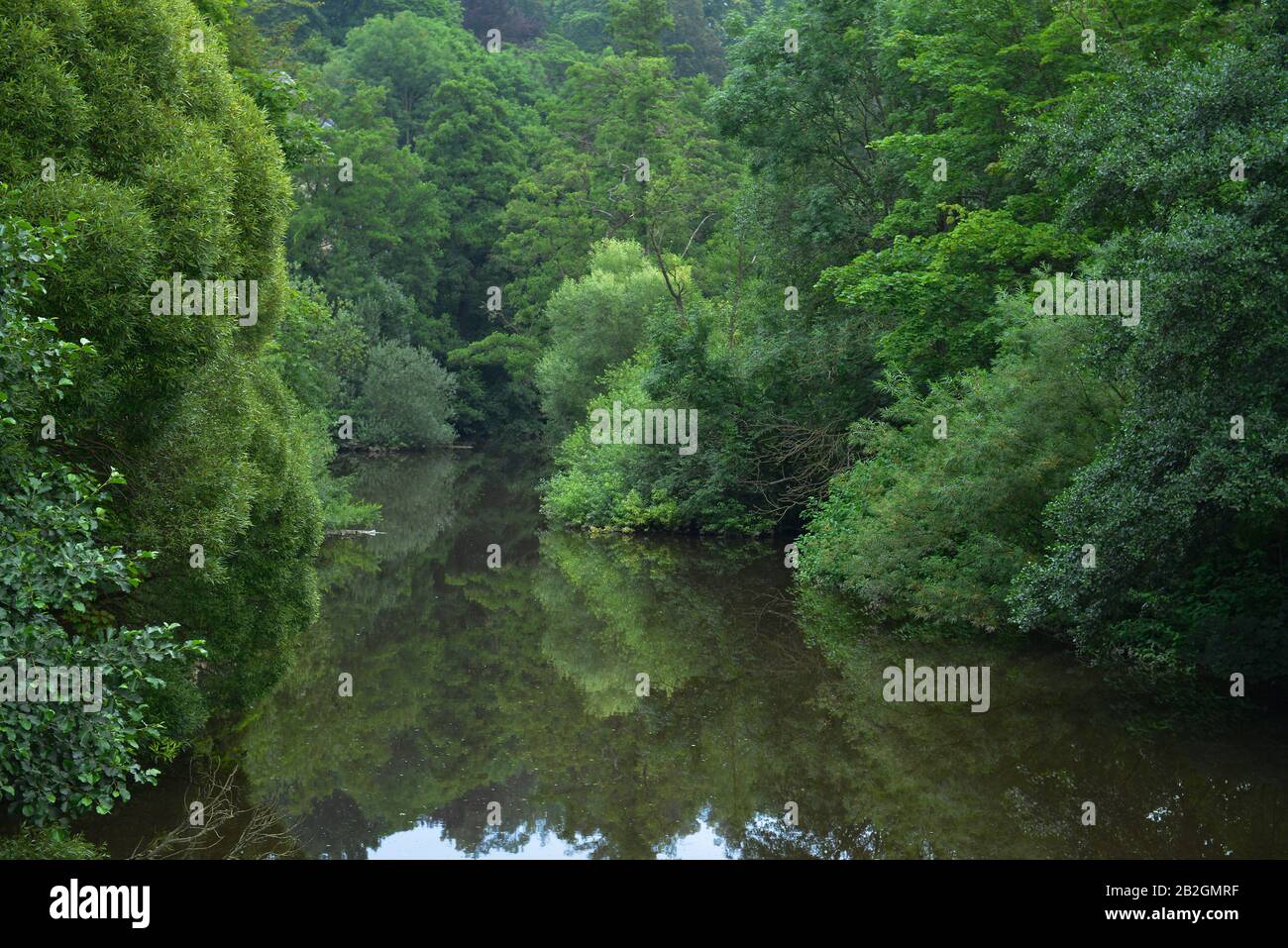 Saale, Hof an der Saale, Oberfranken, Bayern, Deutschland Foto Stock