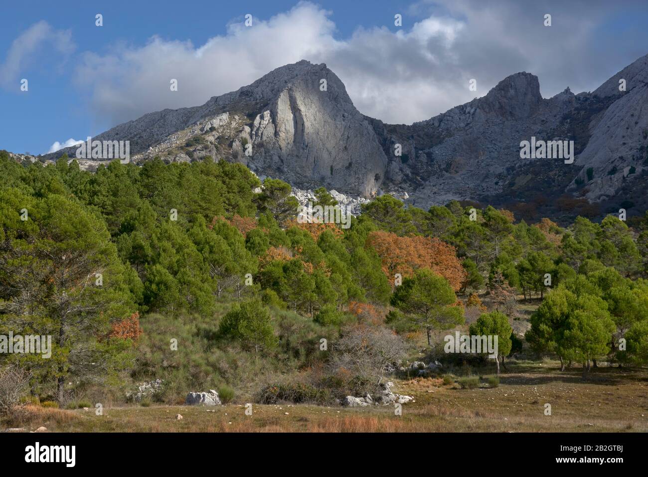 Catena montuosa del sistema iberico immagini e fotografie stock ad alta  risoluzione - Alamy