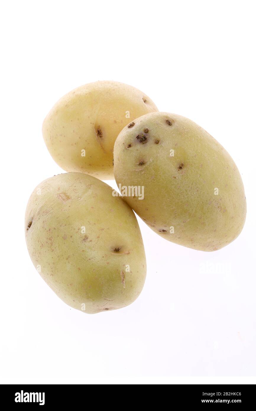 Patate australiane isolate. Tagliare verdure crude di patate isolate su sfondo bianco con il percorso di taglio Foto Stock