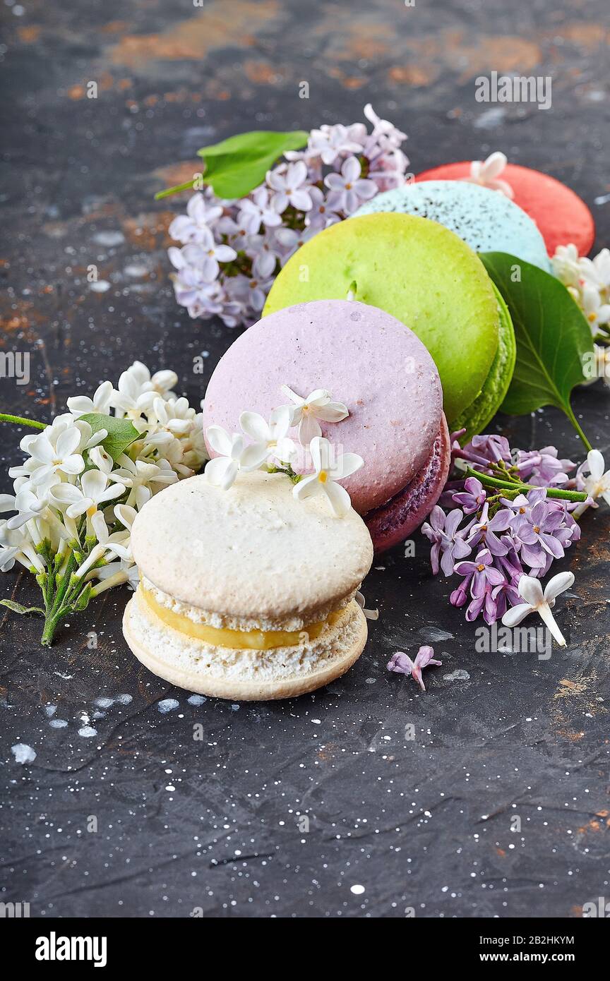 Macaroni colorati e luminosi su sfondo di cemento colorato accanto ai fiori lilla da vicino Foto Stock