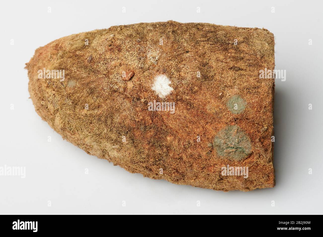 Spore su superficie di pane isolata su fondo bianco Foto Stock