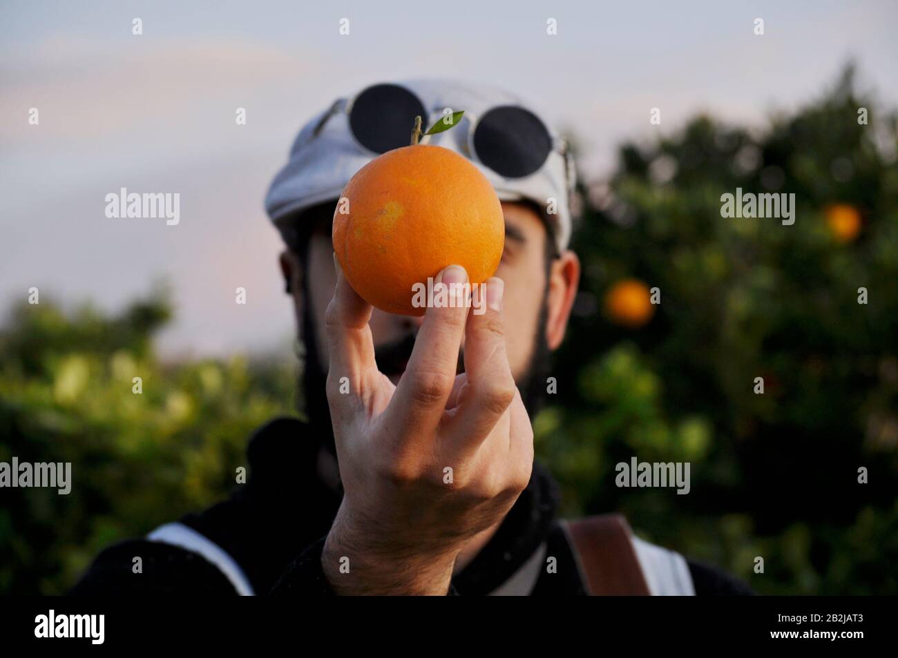 Uomo d'epoca che tiene un arancio all'altezza del viso/ che copre il viso con un arancio/ uomo che indossa occhiali da sole arrotondati e beretto grigio/ che mostra un o Foto Stock