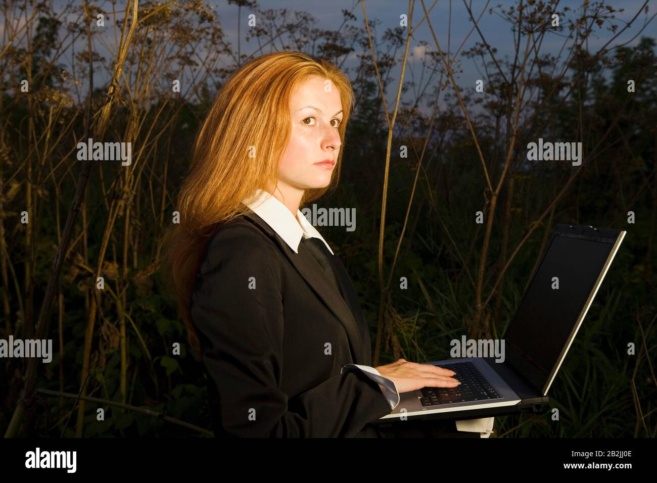 Donna d'affari con un laptop in un bosco Foto Stock