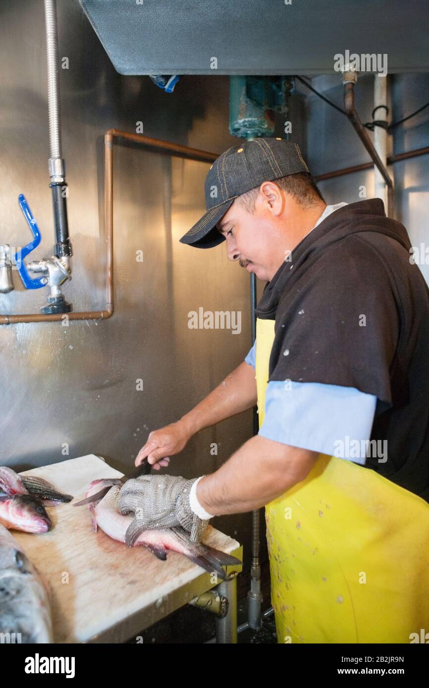 Peschanger maschio maturo che taglia il pesce sul tavolo Foto Stock