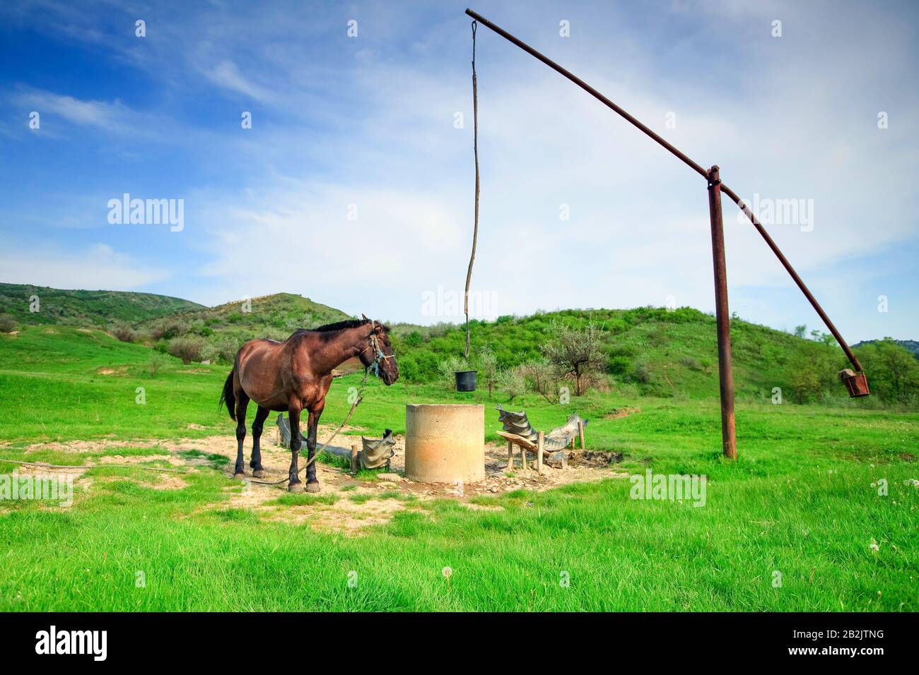 Il vecchio tipo di estrazione di acqua ancora utilizzato in alcuni territori della Romania e da un cavallo Foto Stock