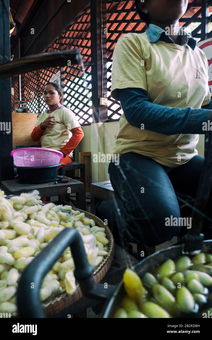 Siem Reap, Cambogia, Asia: Macerazione dei cocchi di seta nei laboratori del progetto Artisan Angkor Foto Stock