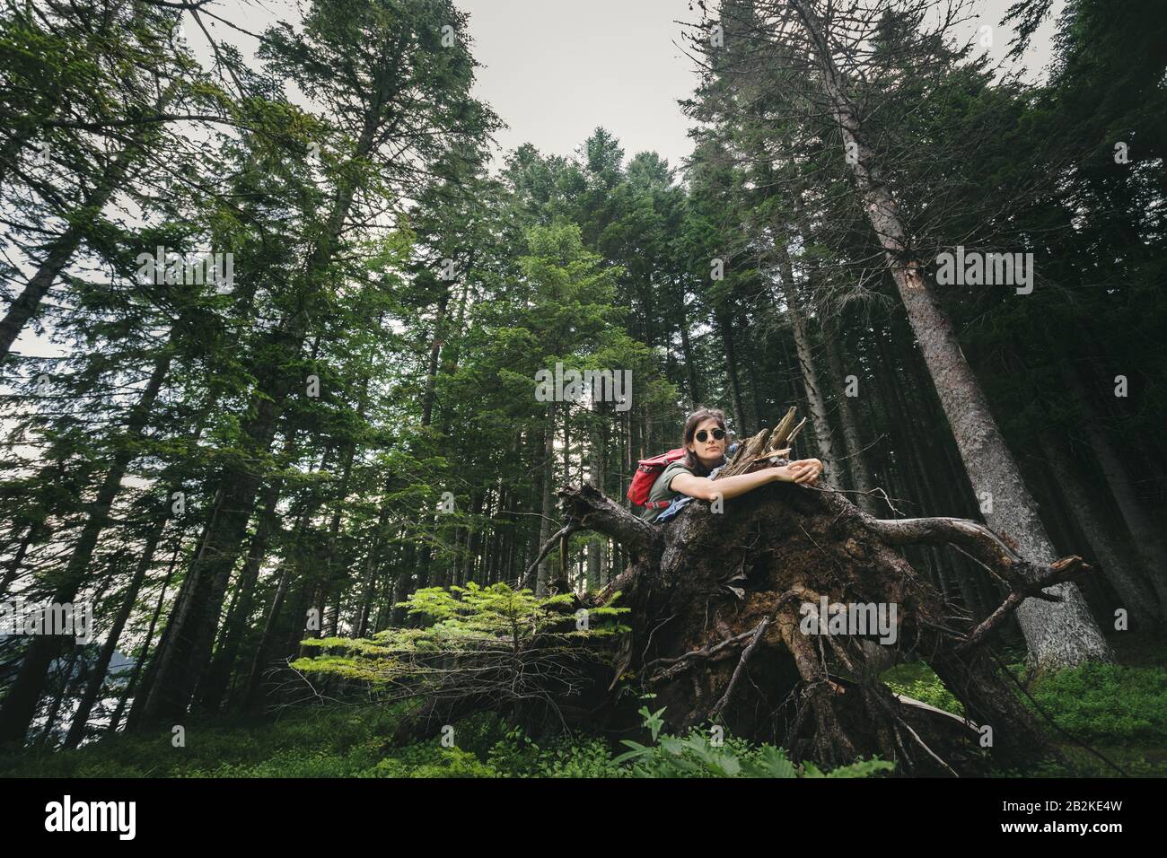 Femmina hugging albero profonda foresta. Ragazza giovane godere la vista della foresta. Concetto di salvataggio dell'ambiente. Natura amore concetto. Foto Stock
