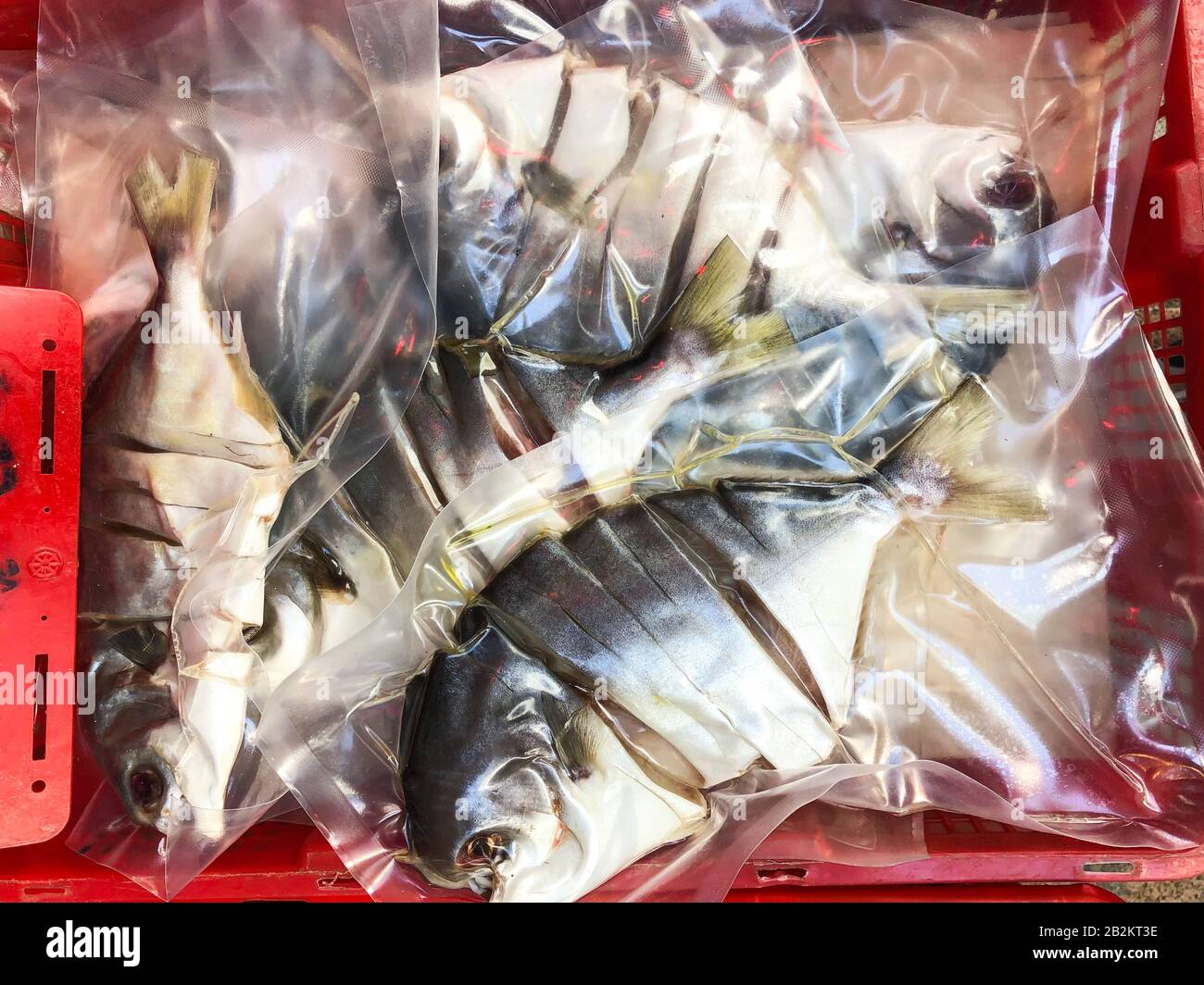 Pesce affettato in plastica per la vendita sul mercato, Hong Kong - Foto Stock