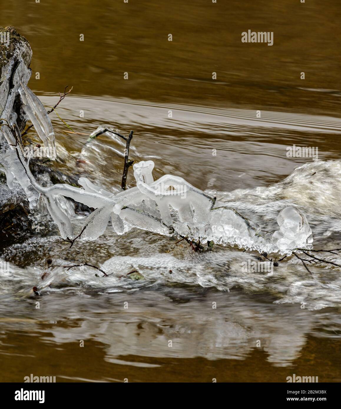 ghiaccio che copre piccoli ramoscelli in un torrente, stribro Foto Stock