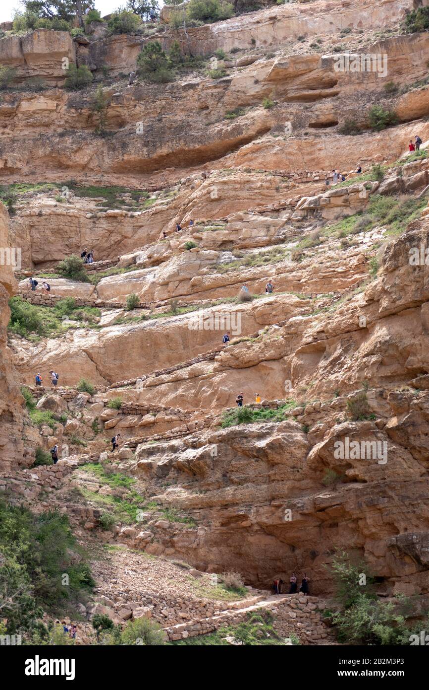 I turisti camminano lungo un sentiero di scogliera verso il fiume Colorado nel Parco Nazionale del Grand Canyon, Arizona, Stati Uniti d'America. Foto Stock