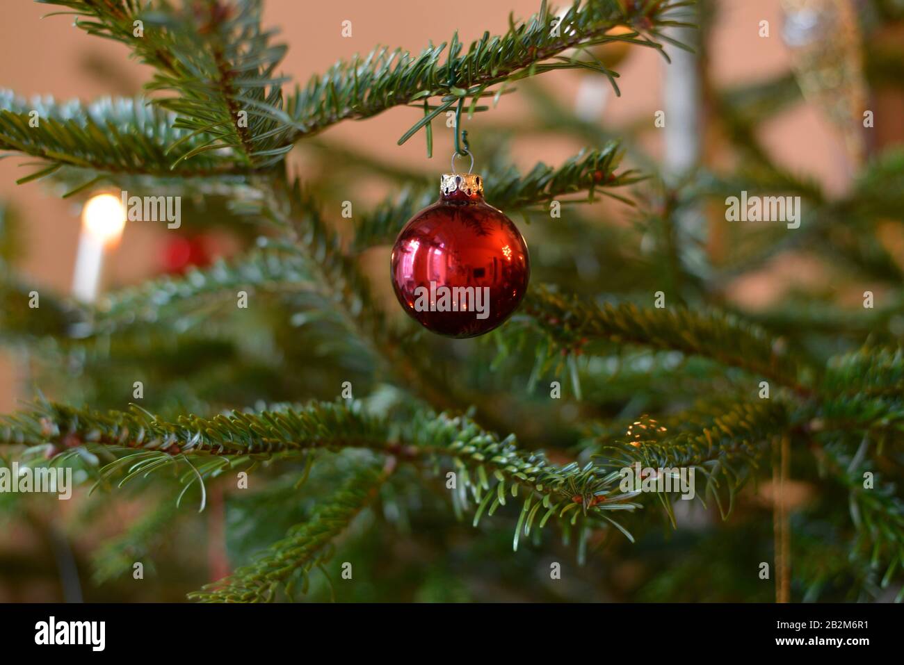 Weihnachtsbaum, Kugel Foto Stock