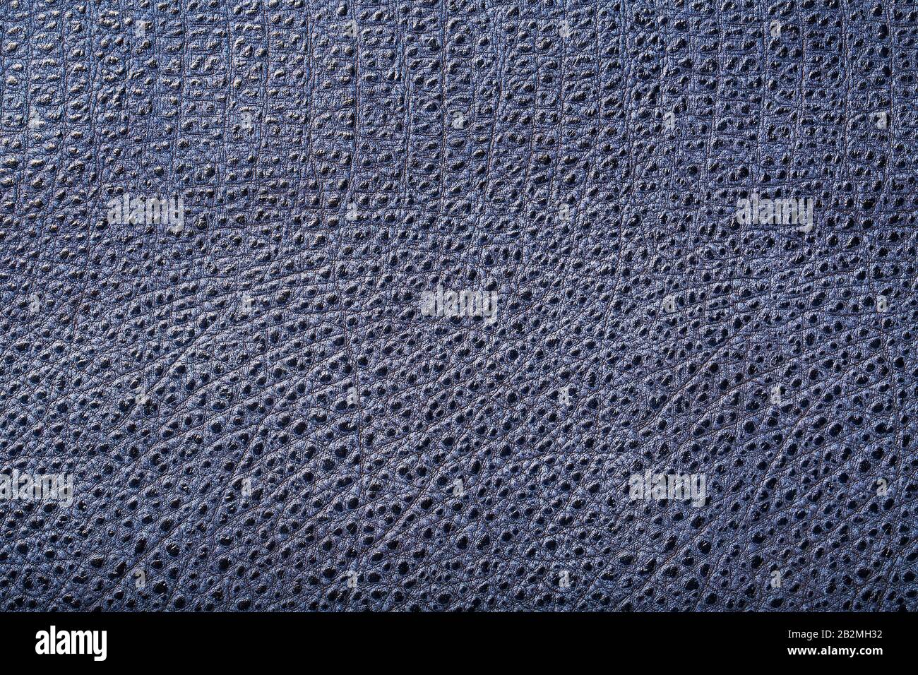 Rettili in pelle testurizzata blu, texture utilizzata per lo sfondo. Pelle  di coccodrillo o di lucertola. Schermo intero, vista dall'alto Foto stock -  Alamy
