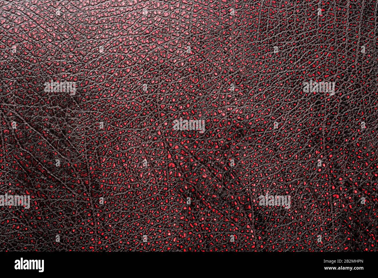 Rosso - nero texture rettile pelle, usato texture per lo sfondo. Pelle di coccodrillo o di lucertola. Pelle di coccodrillo rossa d'acqua dolce tessuto di fondo. . Foto Stock