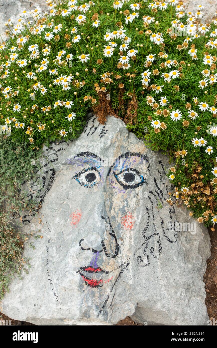 Faccia dipinta su roccia nel parco cittadino. Foto Stock