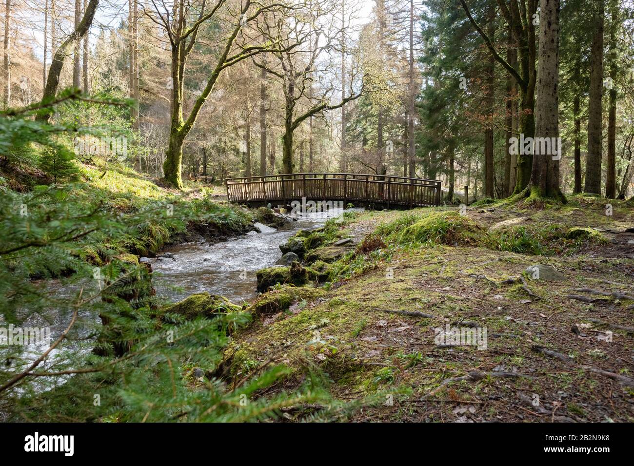 Queen Elizabeth Forest Park, Aberfoyle, Scozia, Regno Unito - passerella in legno sotto la cascata Foto Stock