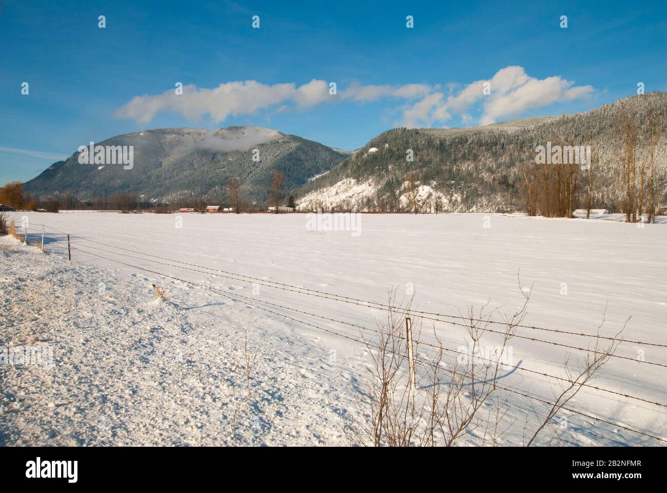 Inverno a Nicomen Island, British Columbia, Canada Foto Stock