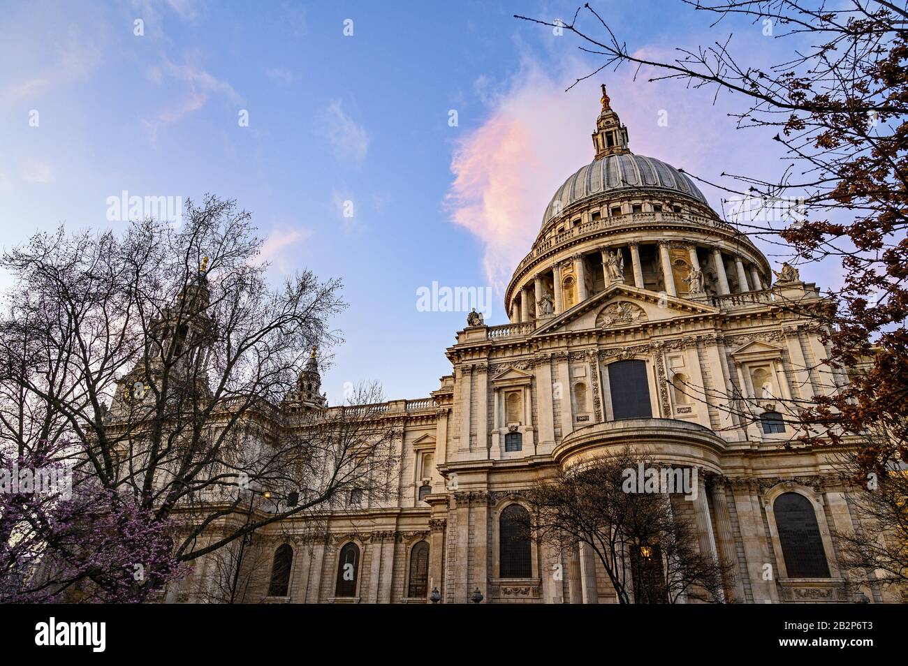 Cattedrale di St. Paul a Londra, Regno Unito. Vista serale di San Paolo dal sud della cattedrale. Vista della cupola incorniciata da alberi. Foto Stock