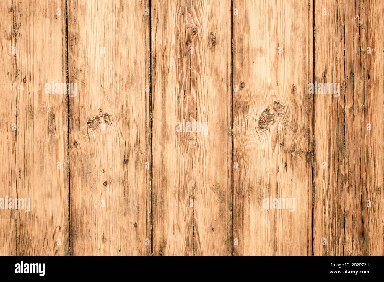 Struttura in legno, sfondo in legno chiaro. Spazio di legno di grano. Recinzione in legno di quercia d'epoca. Pavimento in legno duro grunge, motivo per asse naturale per il design decorativo Foto Stock