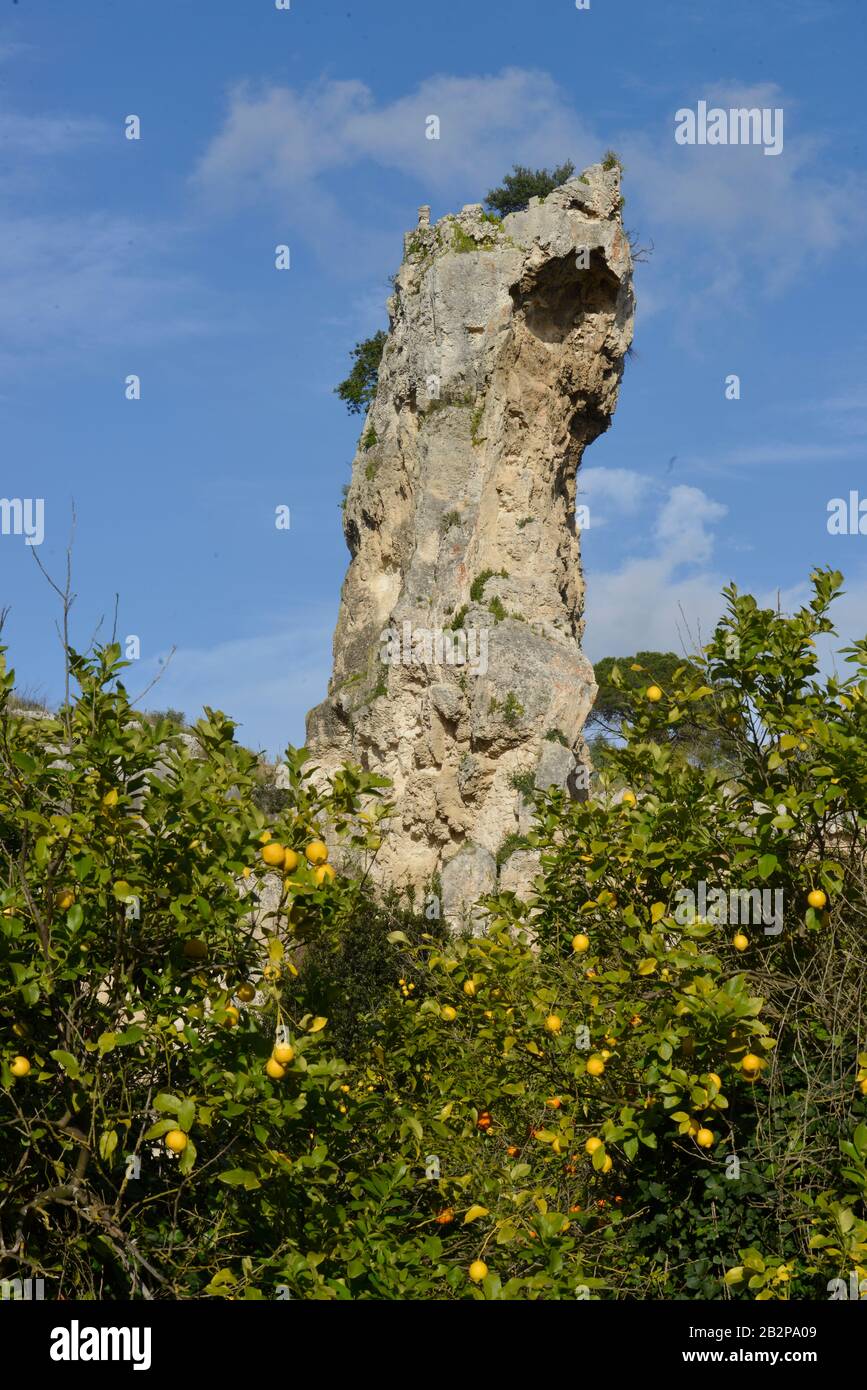 Latomia del Paradiso, Neapolis, Syrakus, Sizilien, Italien Foto Stock