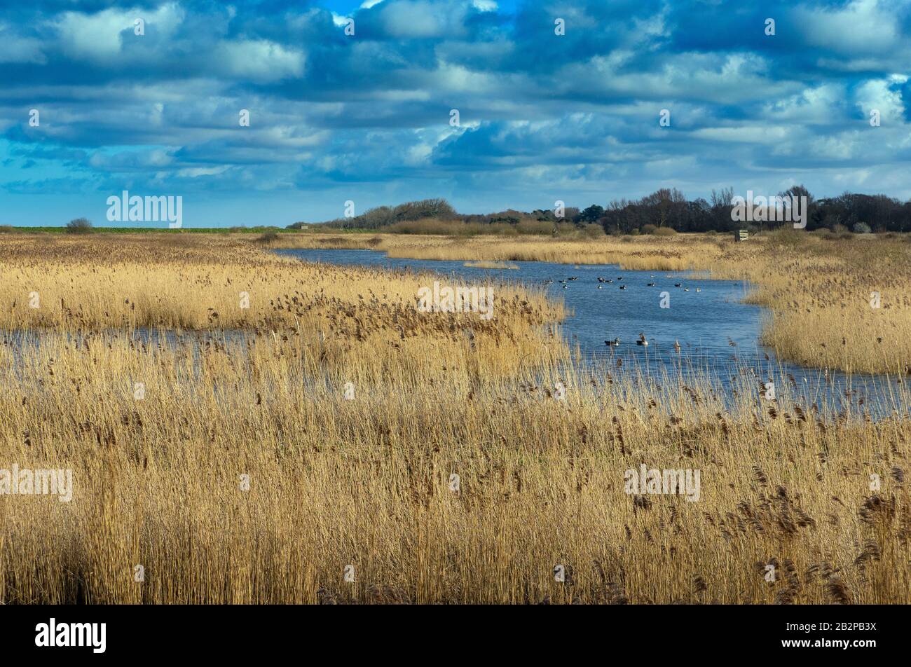 La riserva naturale RSPB e la spiaggia di Titchwell Marsh Norfolk Foto Stock