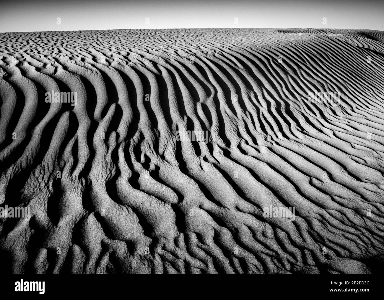 immagine in bianco e nero presa al crepuscolo, vista astratta di increspature di sabbia attraverso il deserto, Foto Stock