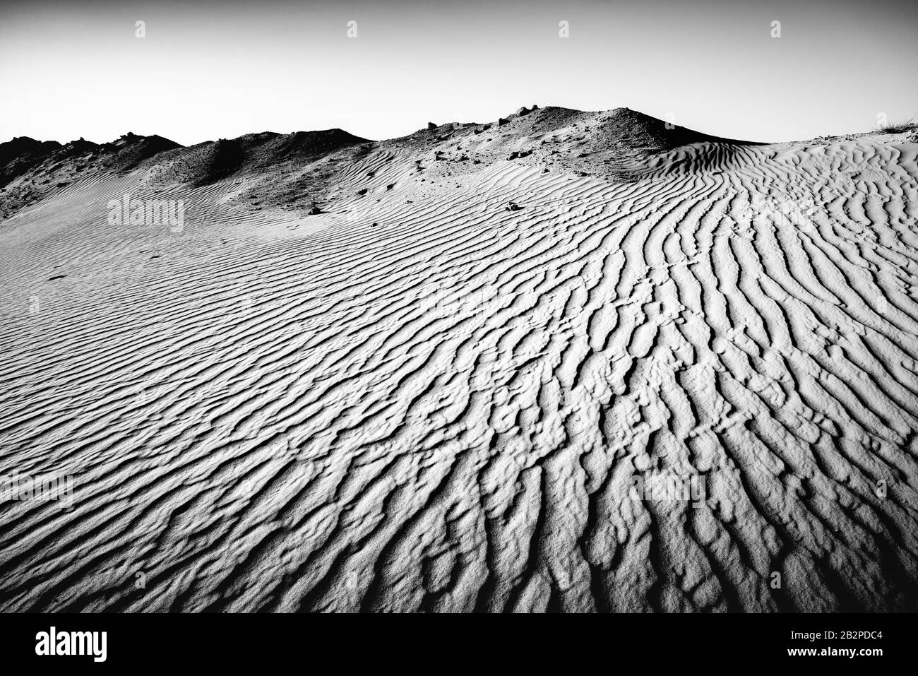 immagine in bianco e nero presa al crepuscolo, vista astratta di increspature di sabbia attraverso il deserto, Foto Stock