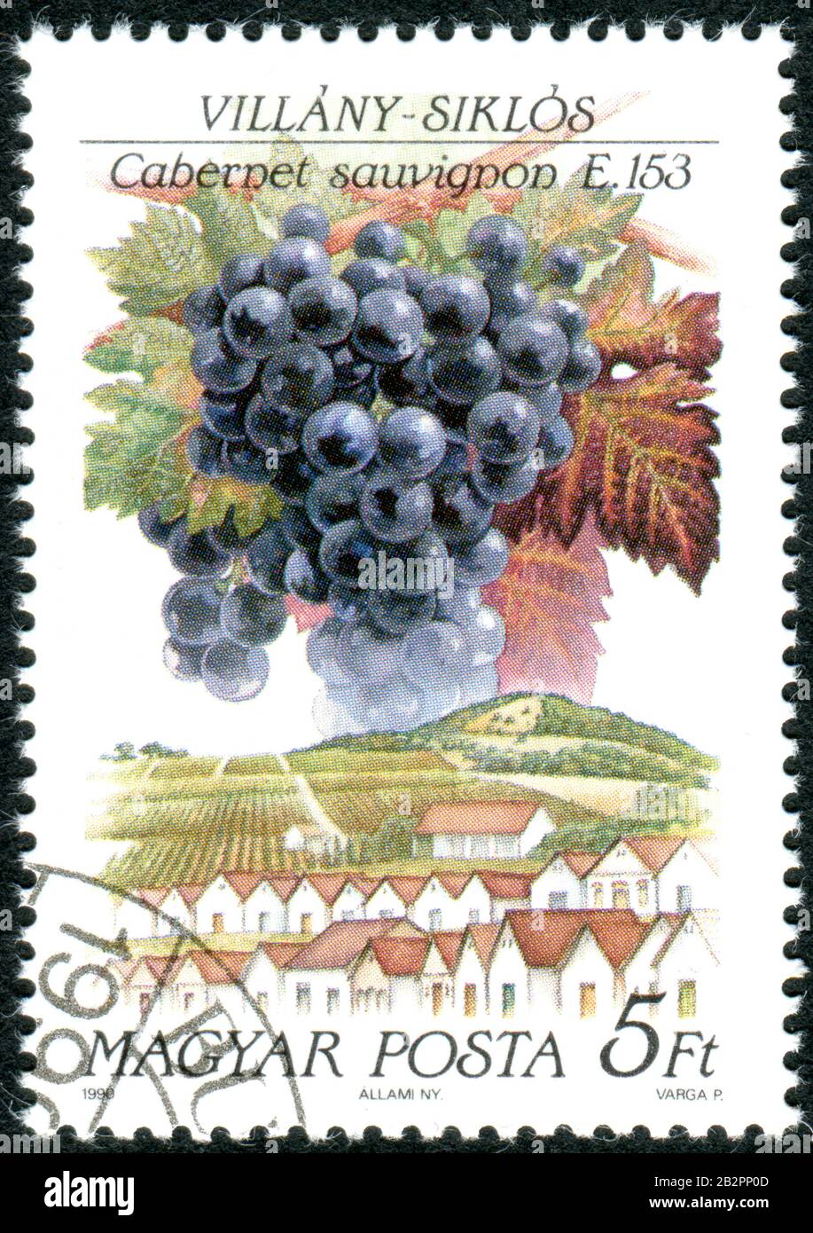 Ungheria - CIRCA 1990: Un francobollo stampato in Ungheria, dedicato Alla produzione di uva e vino, raffigura il Cabernet sauvignon, Villany-Siklos, circa 1990 Foto Stock