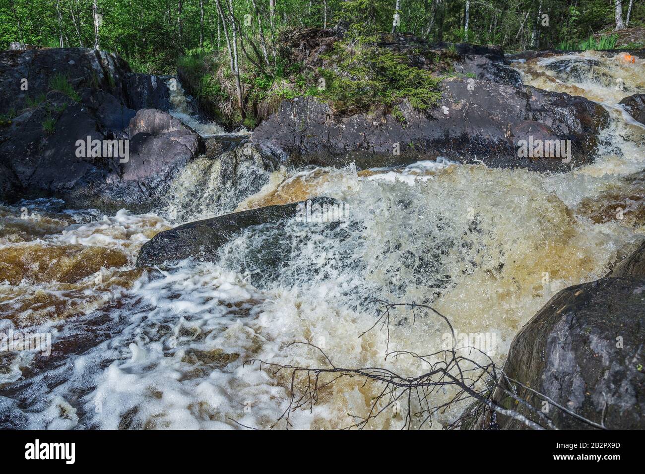 Fiume flusso nella foresta di Karelia Foto Stock