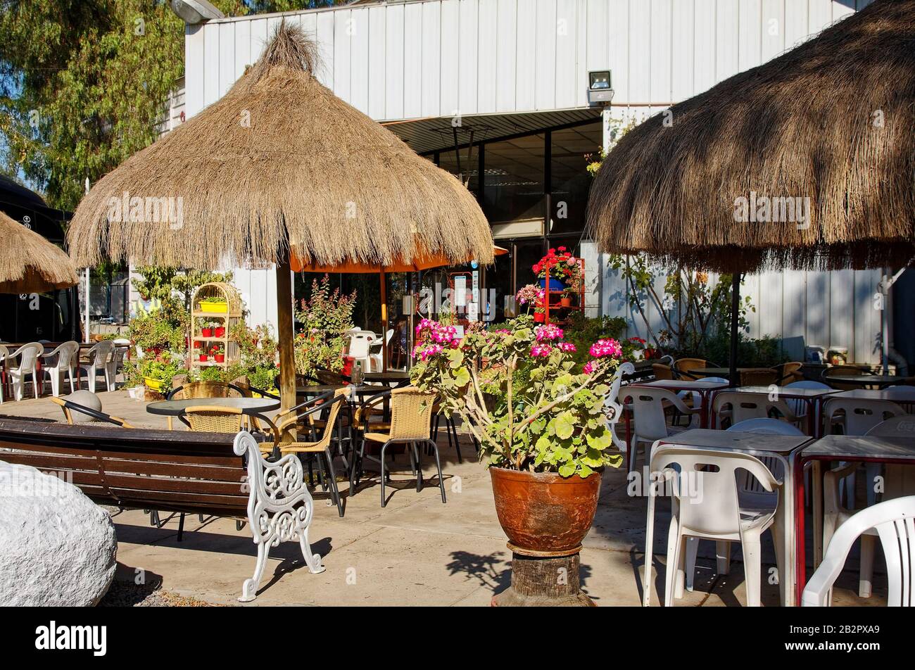 Tavoli, sedie, ombrelloni, fiori, ristorante, Cile; America del Sud; estate Foto Stock