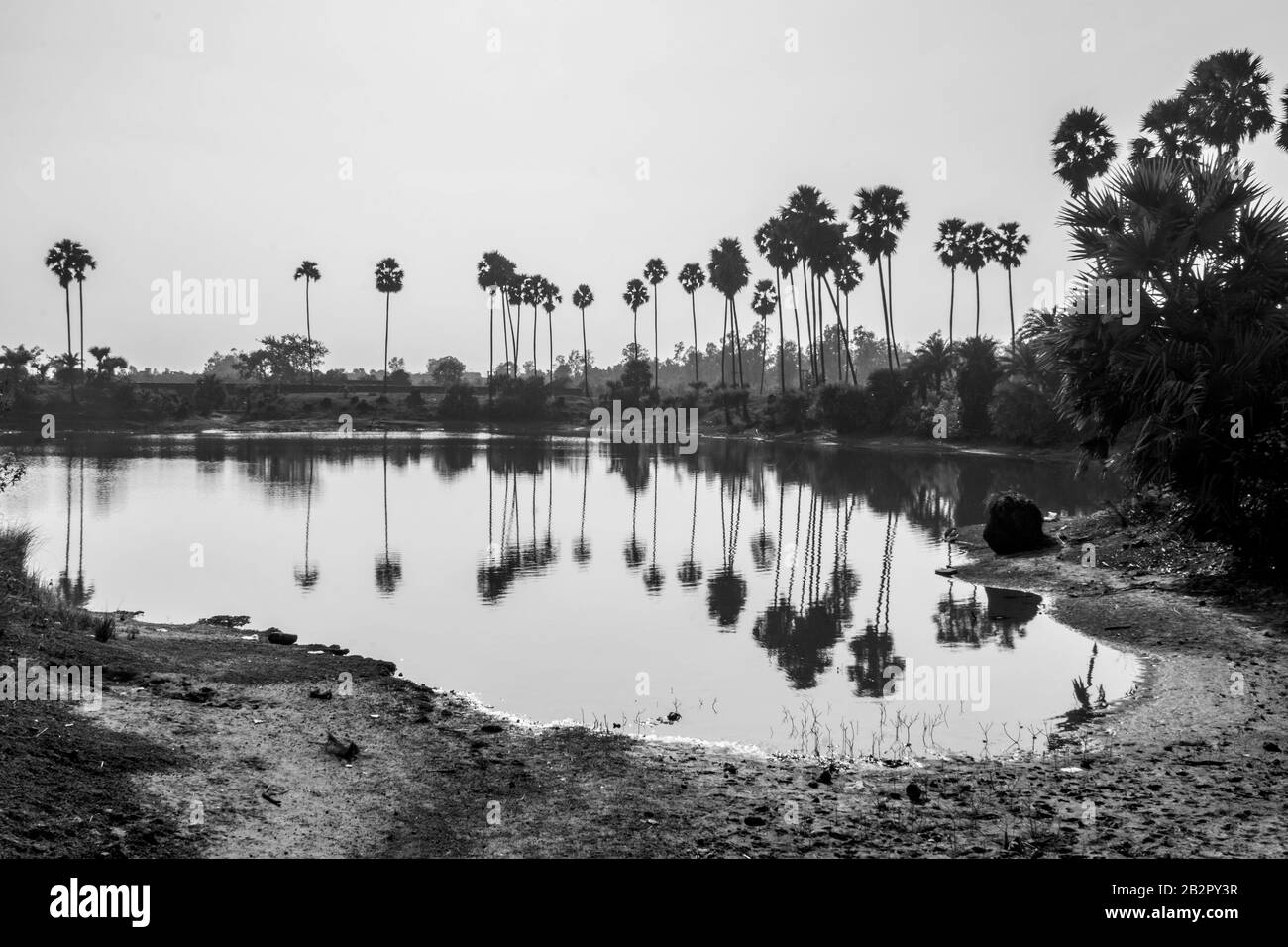 paesaggio di alberi di bengala rurale Foto Stock