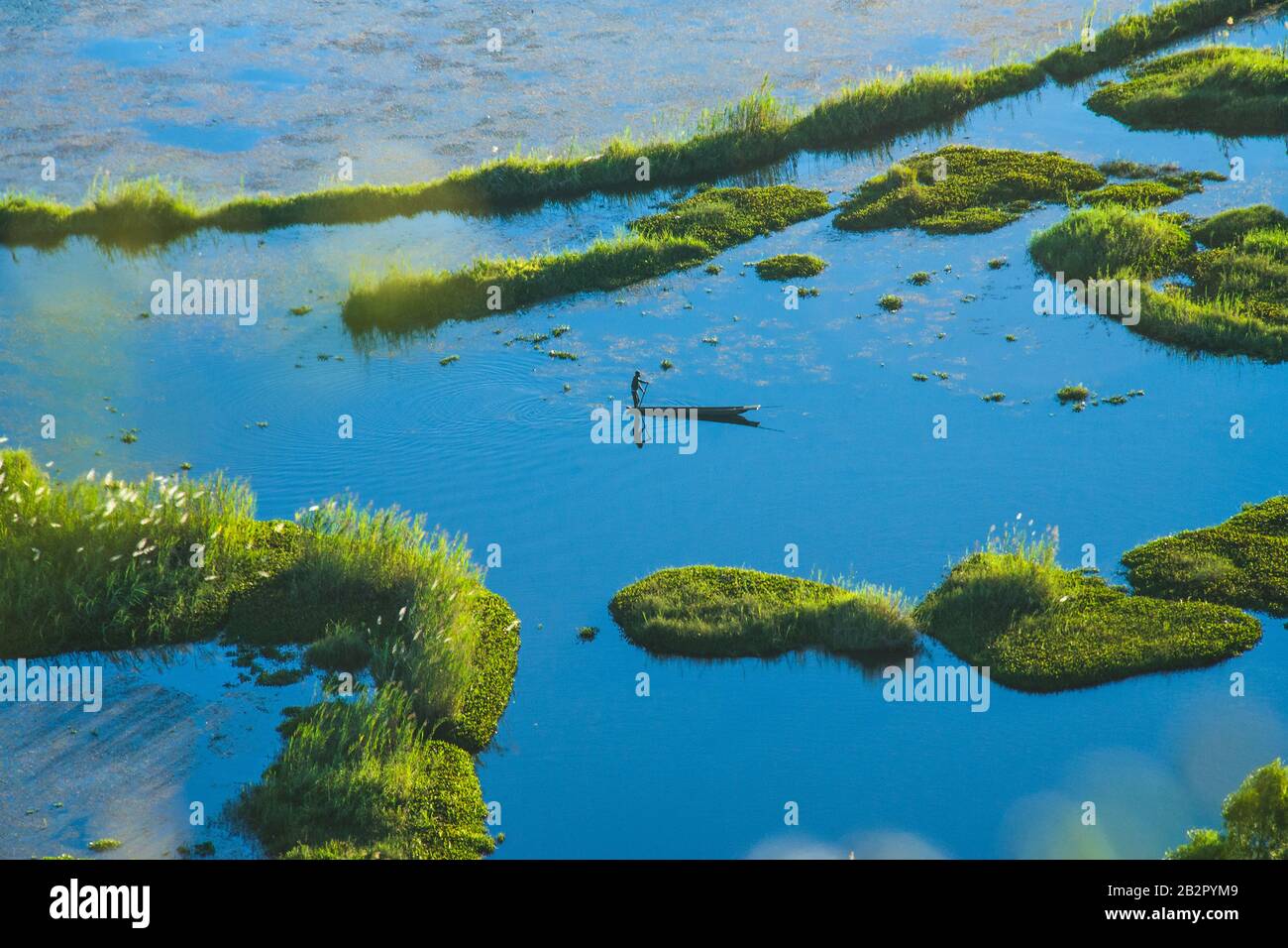 lago di loktak manipur Foto Stock