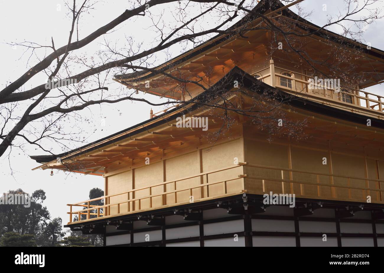 Kinkaku-Ji Golden Pavilion Temple, Kyoto, Giappone Foto Stock