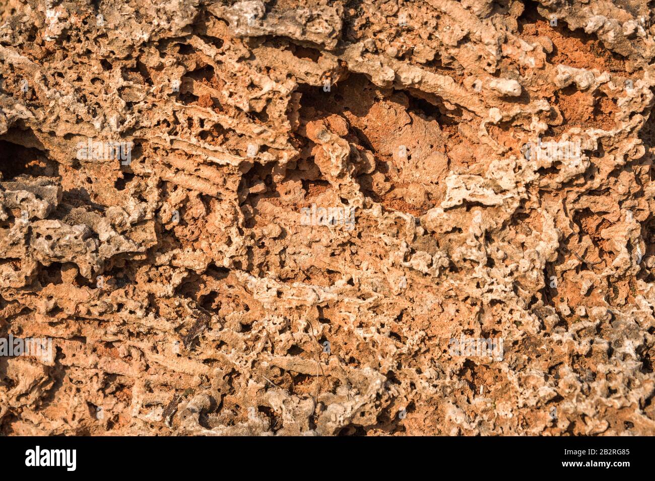 pietra texture sfondo da vecchio secco carl rif Foto Stock