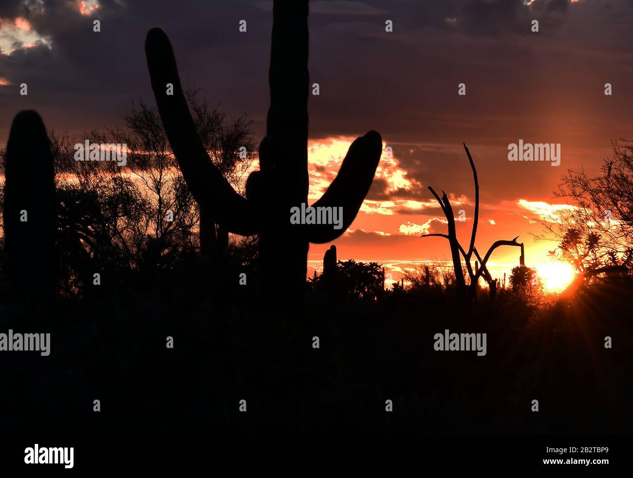 Tramonto dell'Arizona Foto Stock
