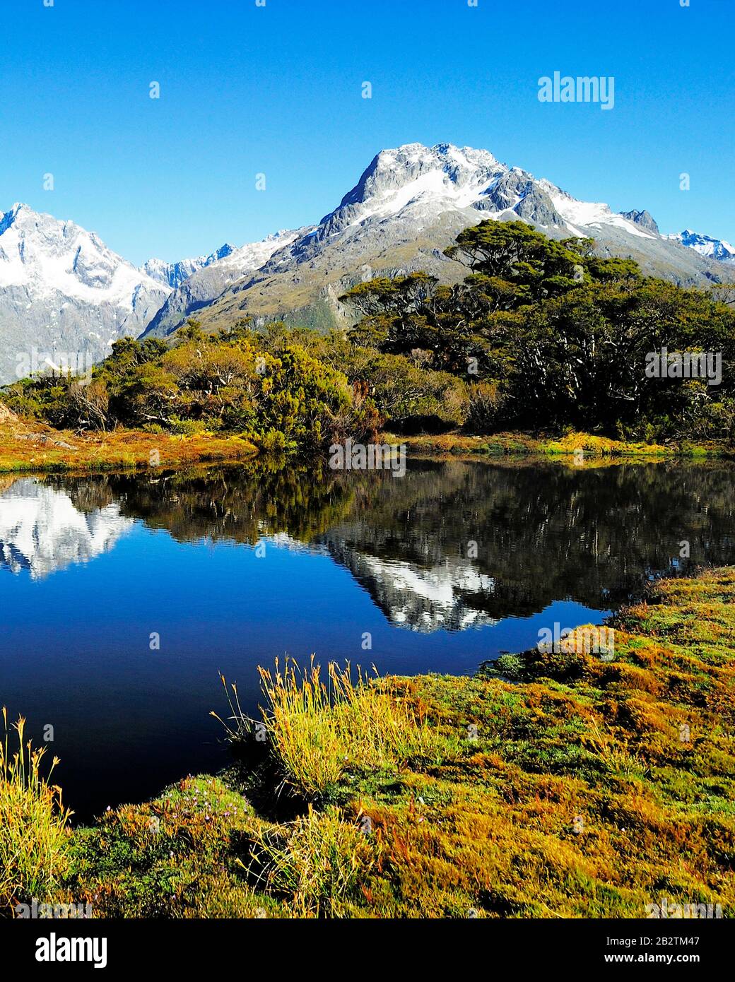 Vertice chiave mit Spiegelung des Mt. Christina, Fjordland Nationalpark, Weltnaturerbe sud ovest della Nuova Zelanda, Westkueste, Suedinsel Neuseeland; Februar Foto Stock