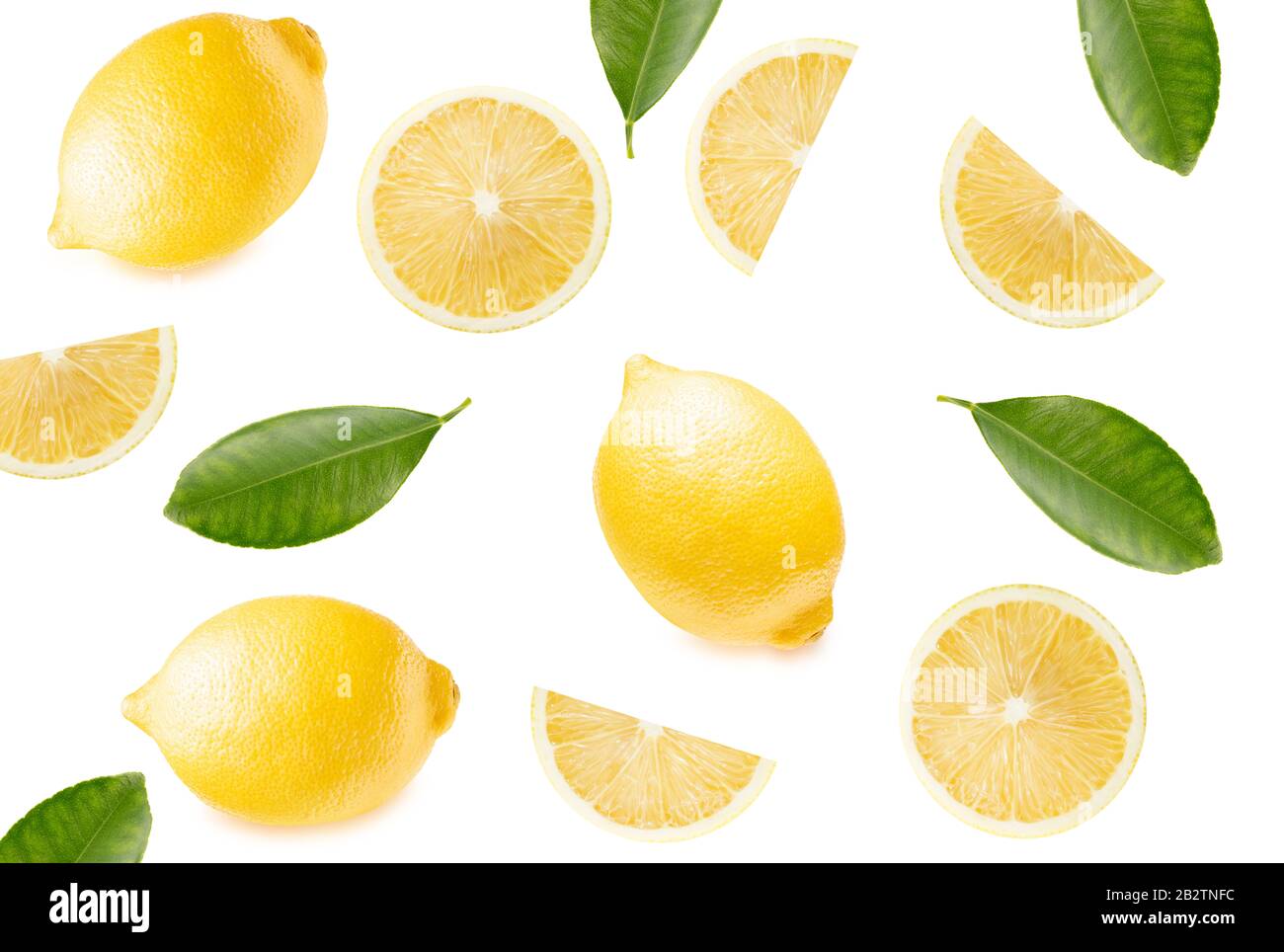 pattern con fettine di limone e foglie su sfondo bianco. Foto Stock