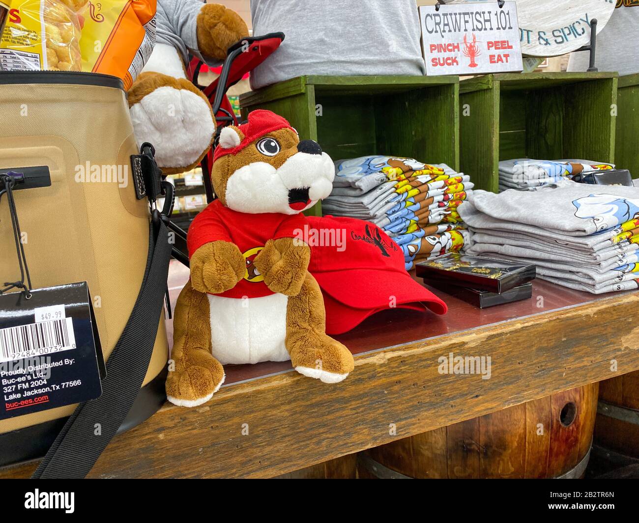 Houston, TX/USA-2/25/20: Una mascotte Beaver imbottita Bucee a Buc ee. La stazione di benzina Buc ee, fast food e minimarket con cibo Foto Stock