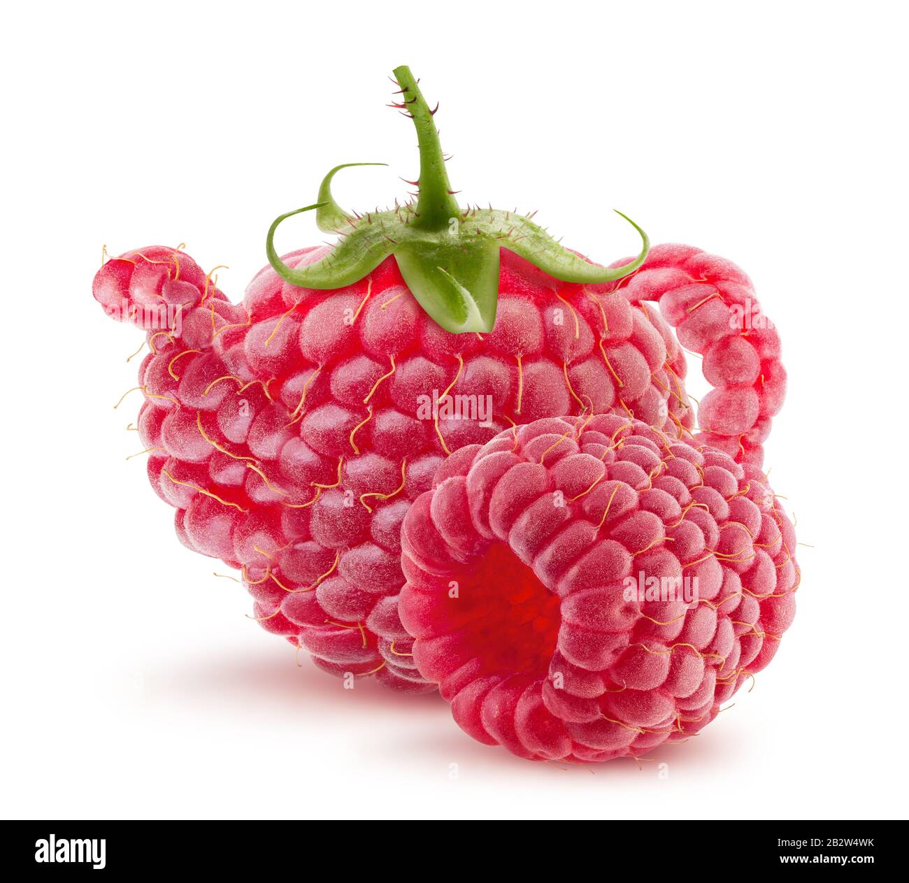 tettarella raspberry shape con lampone isolato su sfondo bianco. Foto Stock