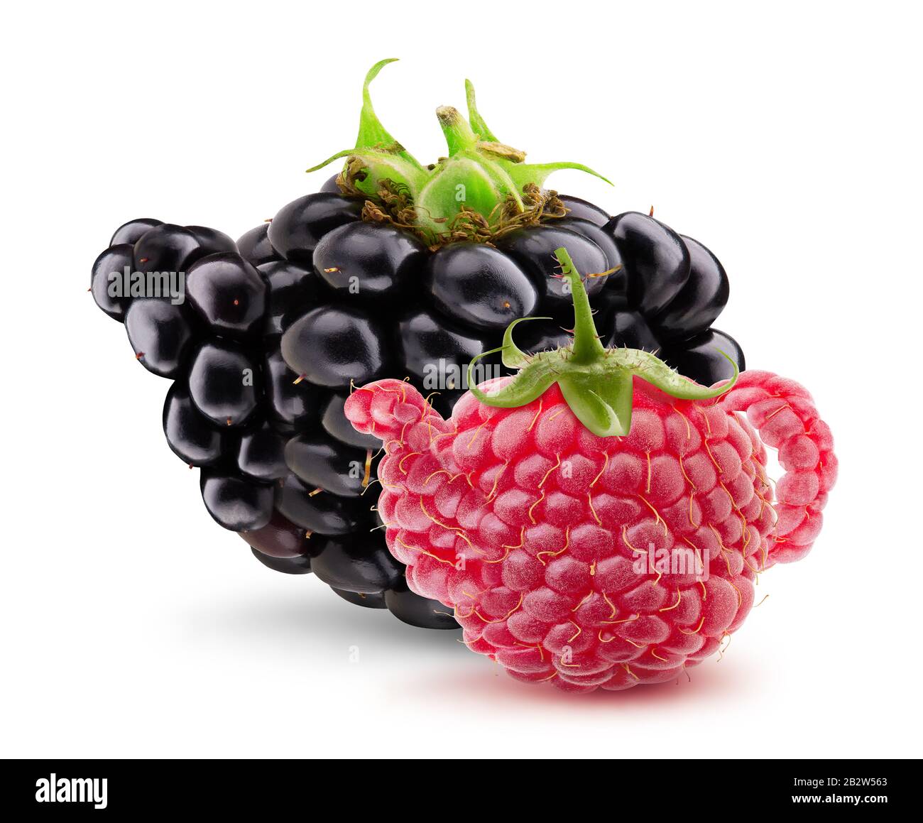 tettarella a forma di blackberry con tettarella a forma di lampone isolata su sfondo bianco. Foto Stock