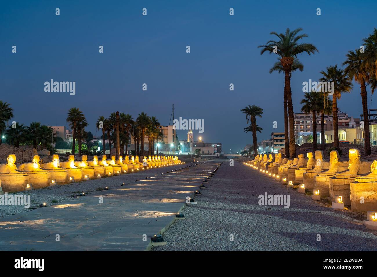 Sphinx vicolo che conduce verso il tempio di Luxor in Egitto Foto Stock
