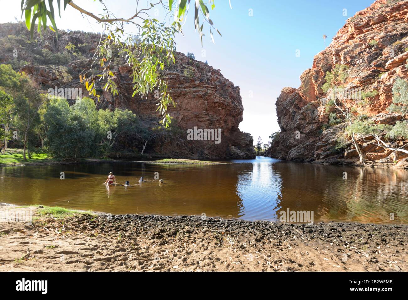 I turisti nuotano all'Ellery Creek Big Hole, un popolare foro per nuotare vicino ad Alice Springs, West MacDonnell Ranges, Northern Territory, NT, Australia Foto Stock