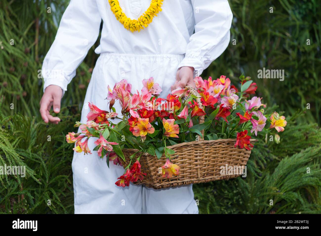 Giovane teen maschio indossando il vestito tradizionale del folclore dell'isola di Madeira che tiene un cesto di fiori al 'Festival dei fiori di madira' nell'isola di Madeira, in Portogallo Foto Stock