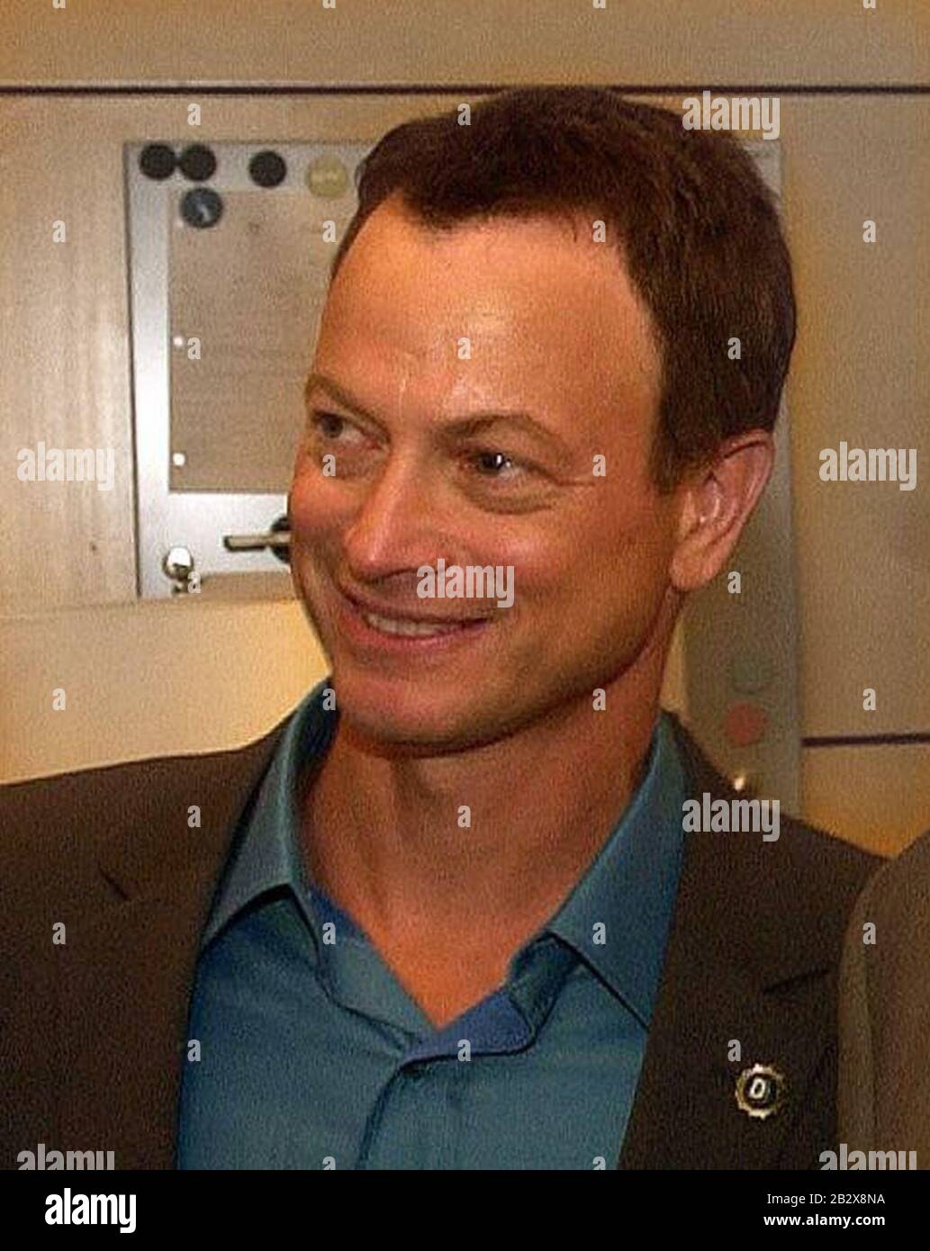 Gary Sinise. Foto Stock