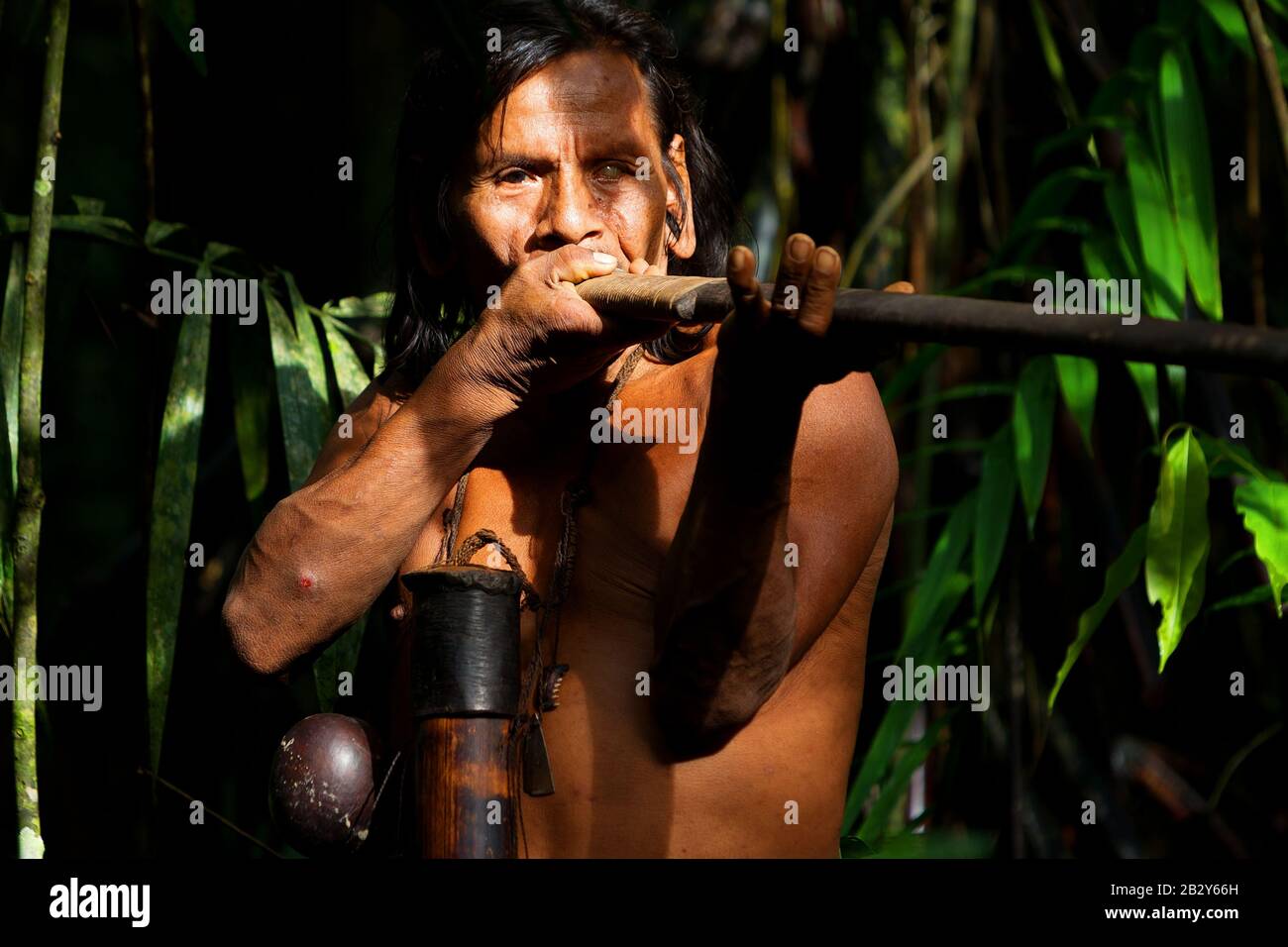 Tipico Huaorani Gun Portrait Waorani Riserva Parco Nazionale Yasuni Ecuador Shoot Nella Foresta In Luce Ambientale Foto Stock