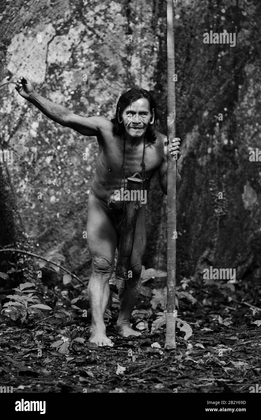 Tipico Huaorani Hunter Portrait Waorani Riserva Parco Nazionale Yasuni Ecuador Shoot Nella Giungla In Luce Ambientale Foto Stock