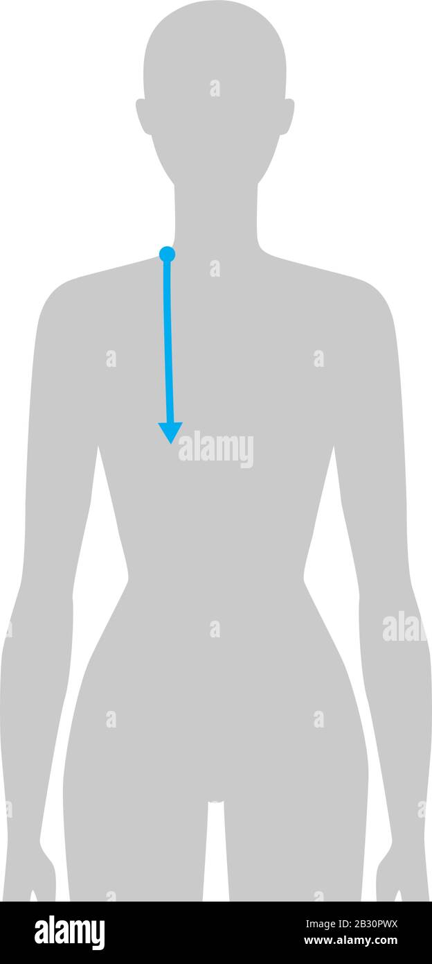 Donna da fare misurazione della profondità di armscye Illustrazione per grafico di dimensione. 7.5 ragazza di taglia della testa per il luogo o il negozio in linea. Modello infografico per il corpo umano per i vestiti. Illustrazione Vettoriale